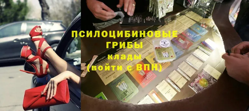 Псилоцибиновые грибы Psilocybe  магазин продажи наркотиков  Куйбышев 